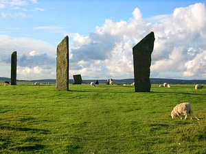 Standing Stones of Stenness with sheep