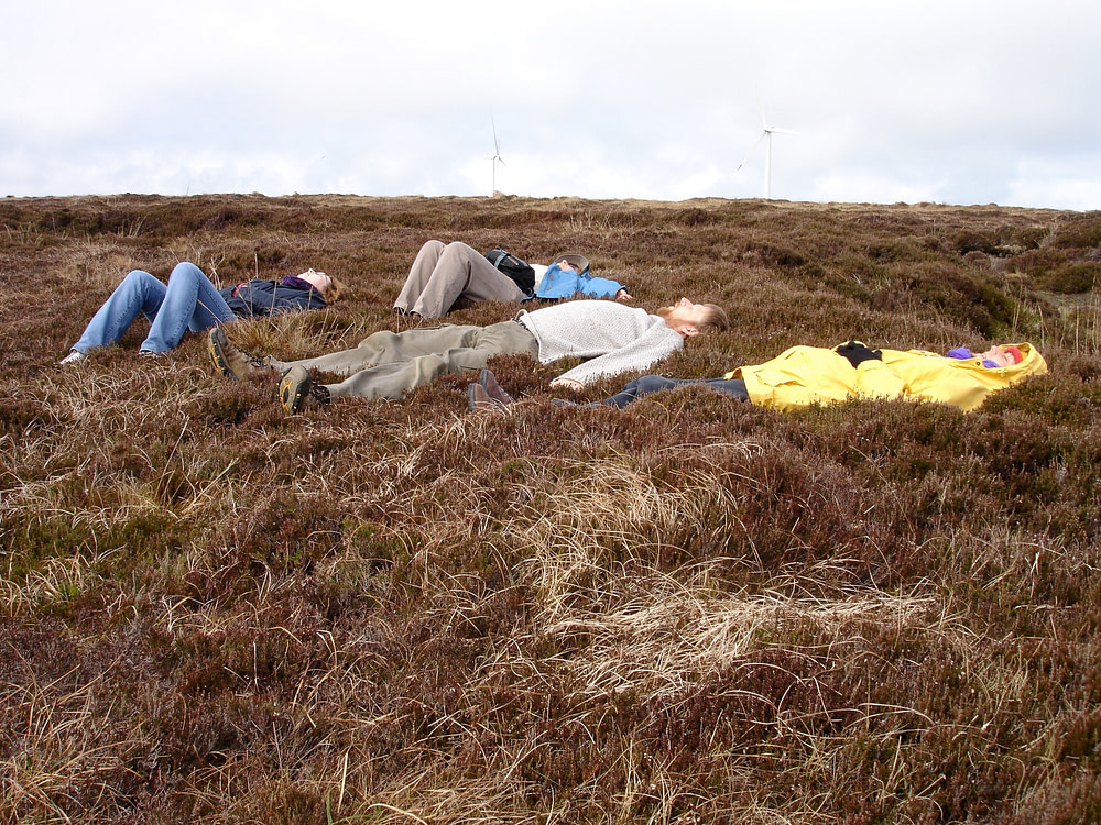 Lying in the heather