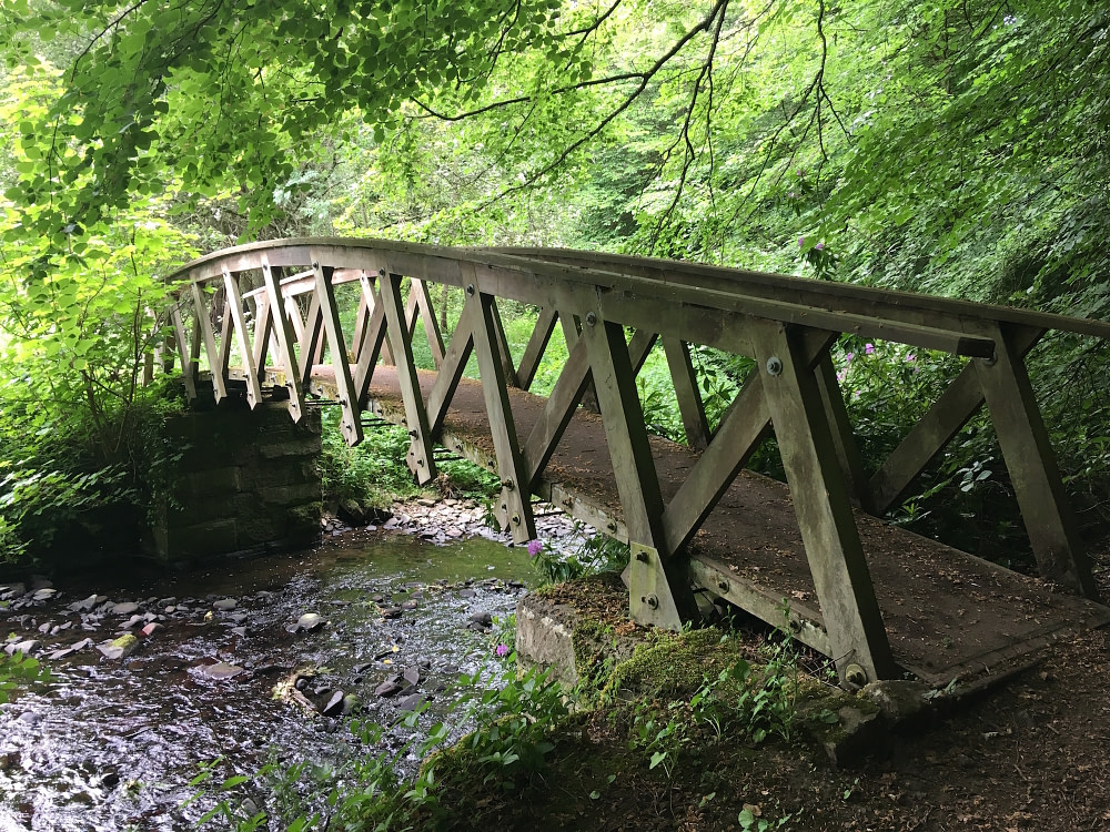 Wooden bridge over stream 