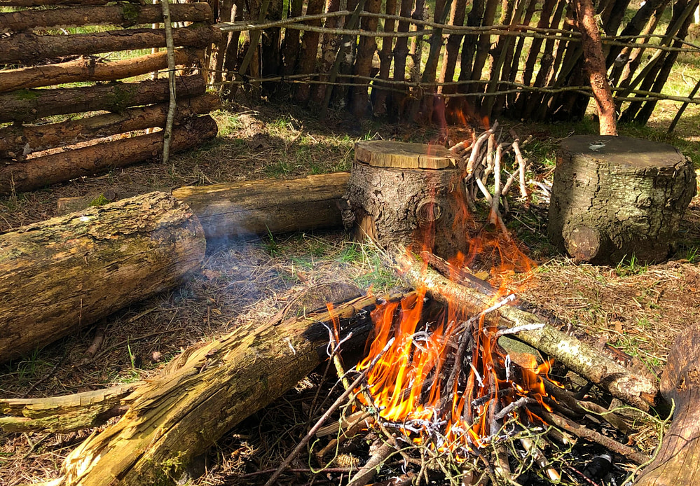 Campfire and wood windbreak