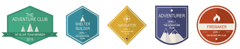 5 different badges