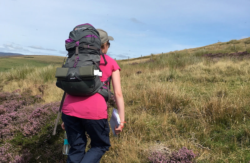 Woman hiking through heather